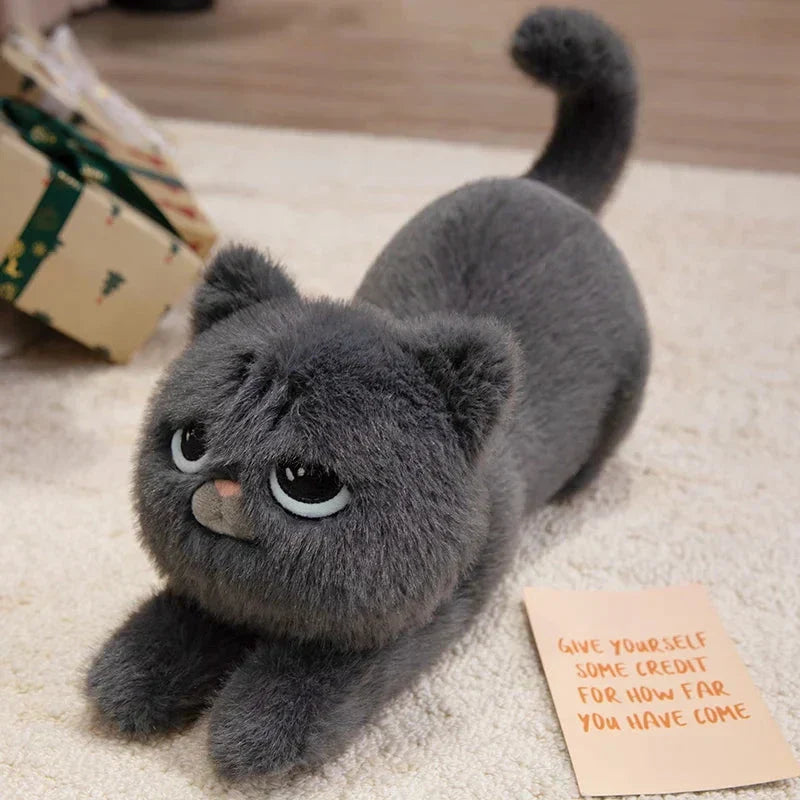 Cuddly Kitten Soft Plush Toys
