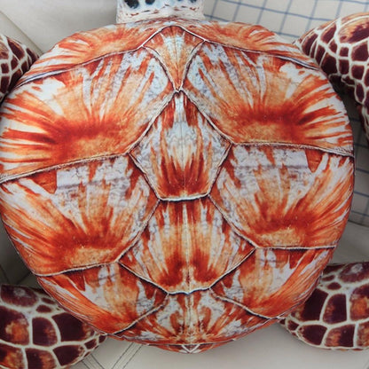 Cute Sea Turtle Soft Plush Toys
