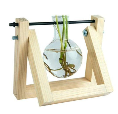 Easy Grow Plant Starter Kits