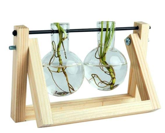Easy Grow Plant Starter Kits