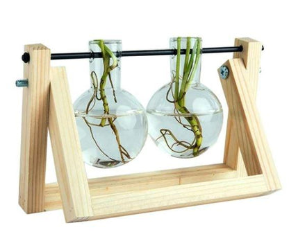 Easy Grow Plant Starter Kits