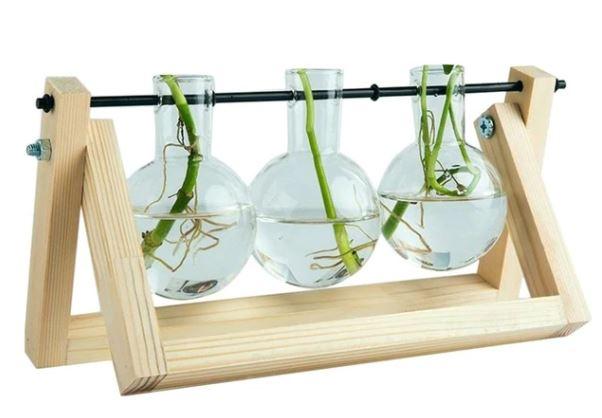 Easy Grow Plant Starter Kits
