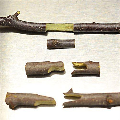 Yeezlab | Heavy Duty Garden Clippers