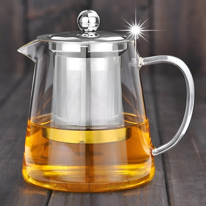 Premium Tea Infuser Glass Teapot with Steel Filter