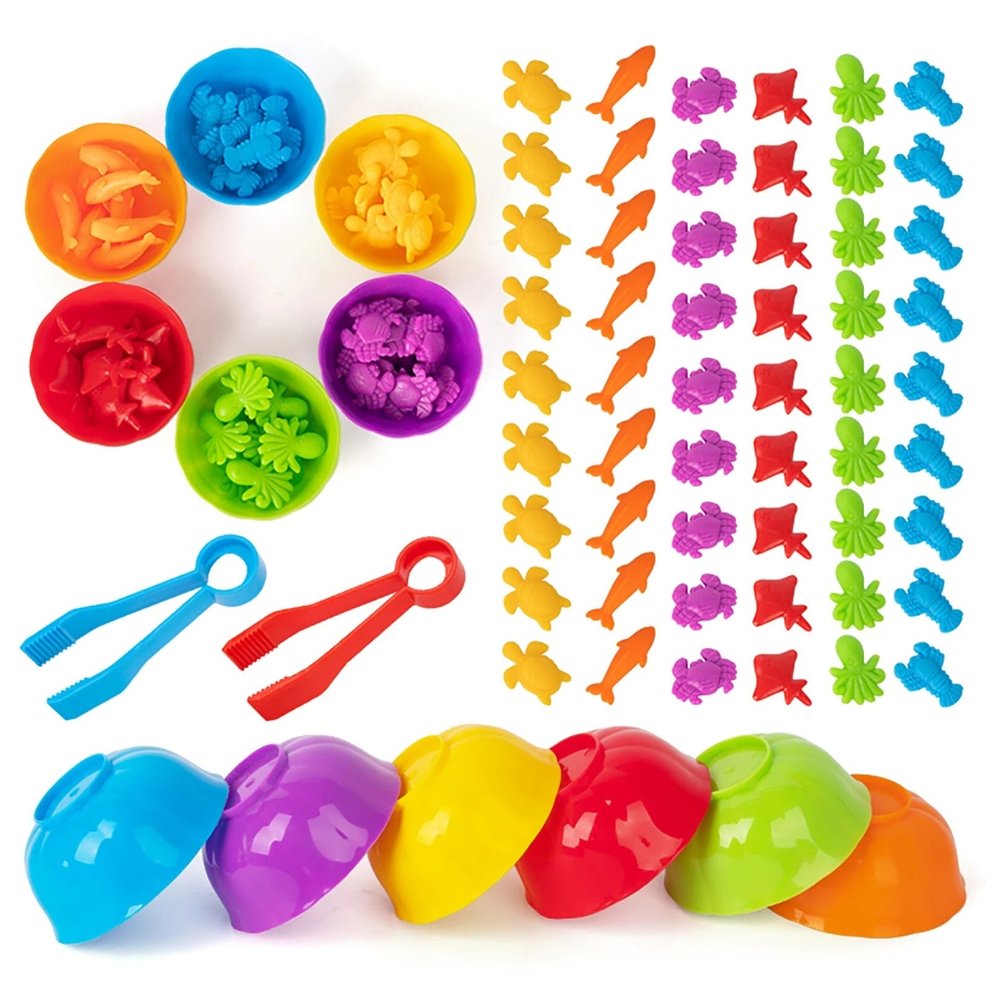 Learning Animal Sorting Toy Set