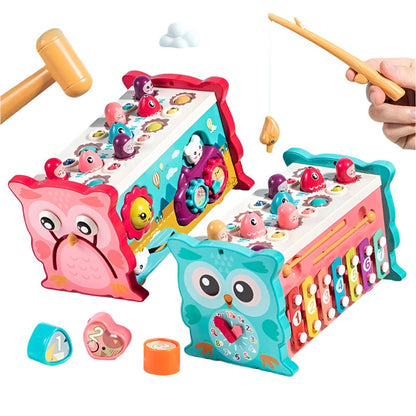 Fun Interactive Owl Toy Set