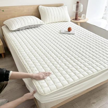 Yeezlab | Premium Comfort Foam Cushion