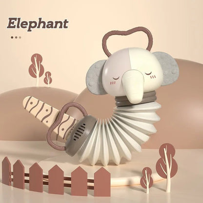Baby Music Toy Accordion Rattle Set - Yeezlab