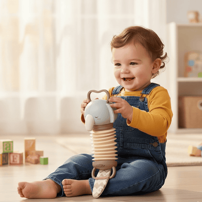 Baby Music Toy Accordion Rattle Set