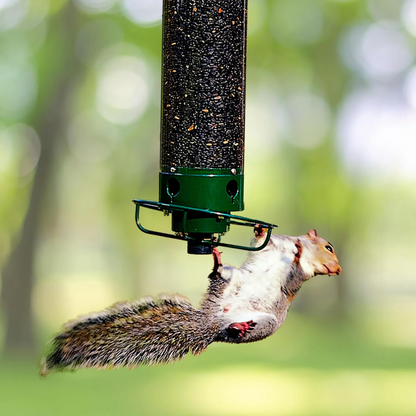 Wild Bird Feeder Hanging Squirrel Resistant Seed Feeder