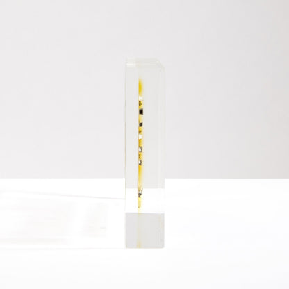 Unique Chemistry Element Wall Art