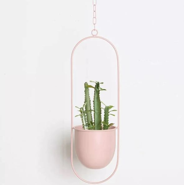 Stylish Macrame Plant Hangers for Modern Homes