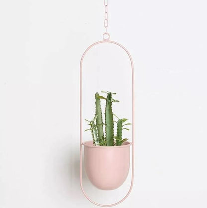 Stylish Macrame Plant Hangers for Modern Homes