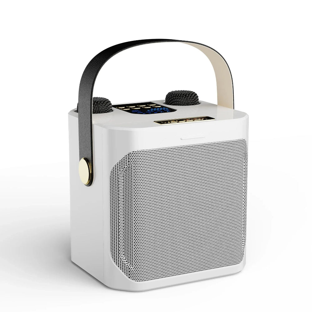 Wireless Karaoke Speaker Portable Bluetooth System