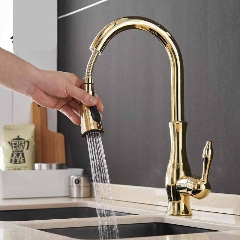 Premium Pull-Out Kitchen Faucet