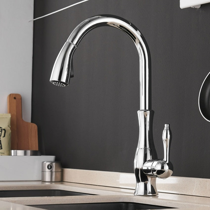 Premium Pull-Out Kitchen Faucet