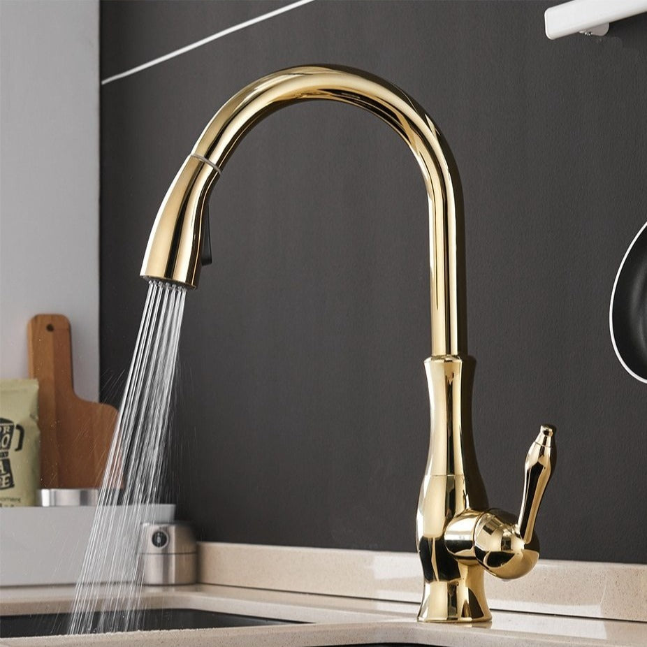 Premium Pull-Out Kitchen Faucet