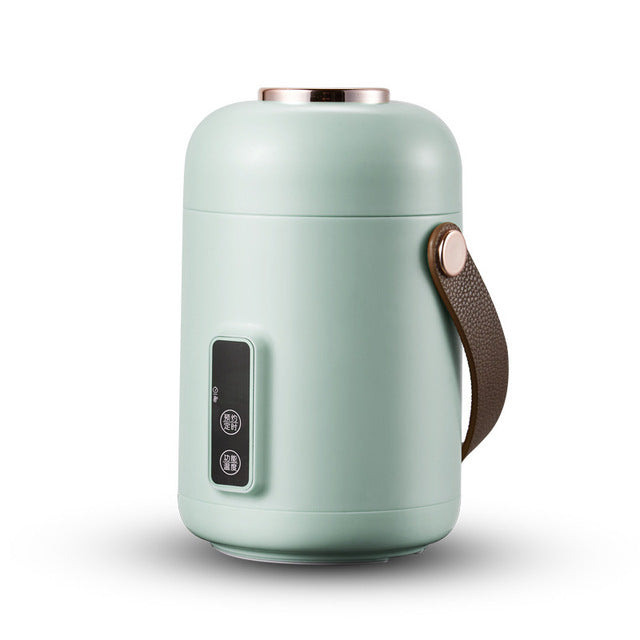 Compact Electric Instant Cooker Pot - Yeezlab