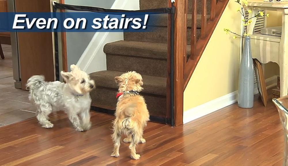 Easy Set Up Folding Pet Baby Gate