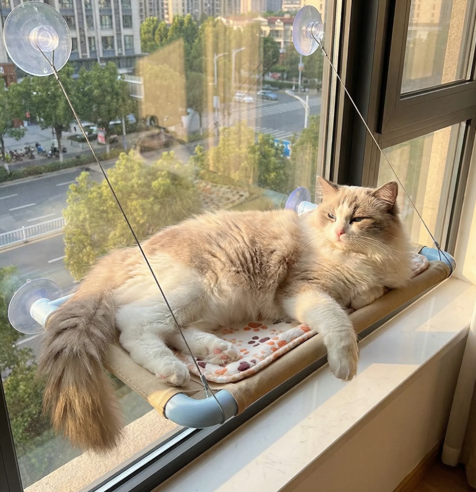 Cozy pet window hammock bed for cats