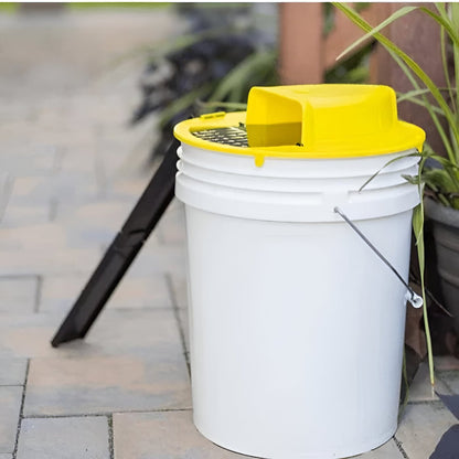 Automatic Humane Mouse Trap for Home - Yeezlab