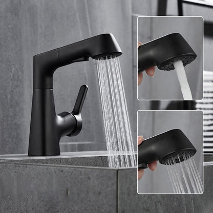 Single Hole Kitchen Sink Faucet with Pull-Out Spray Nozzle