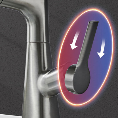 Single Hole Kitchen Sink Faucet with Pull-Out Spray Nozzle
