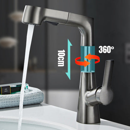 Single Hole Kitchen Sink Faucet with Pull-Out Spray Nozzle