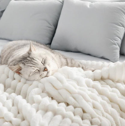 Ultra Soft Plush Fleece Blanket BOGO Deal