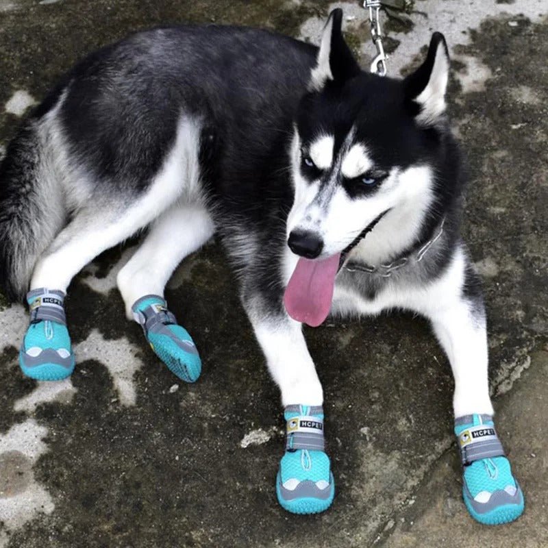 Waterproof Dog Shoes - The Ultimate Paw Protectors - Yeezlab