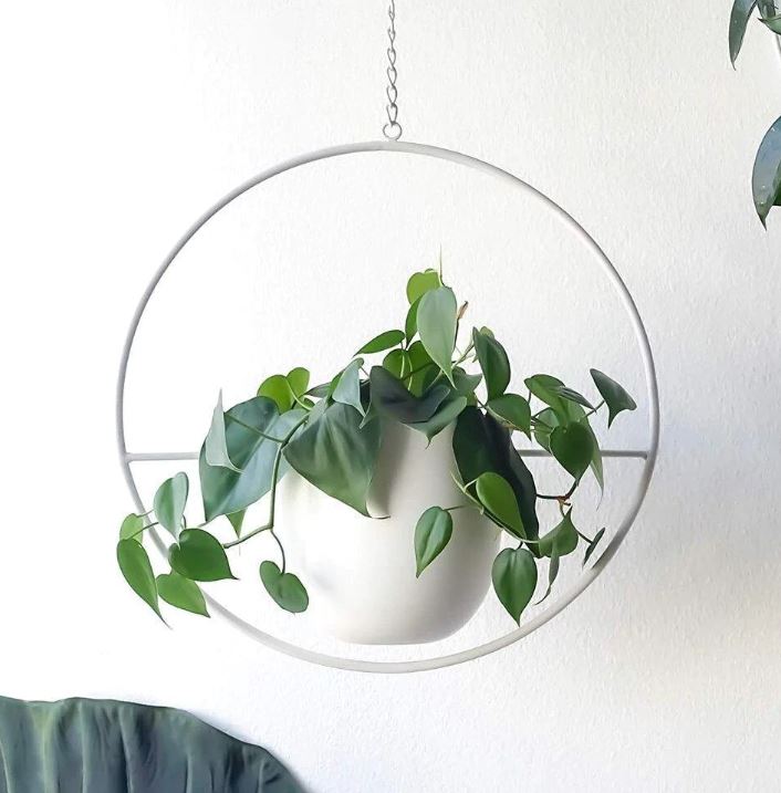 Stylish Macrame Plant Hangers for Modern Homes