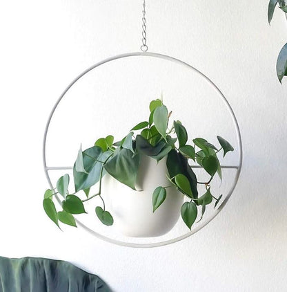 Stylish Macrame Plant Hangers for Modern Homes